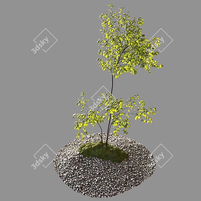 Nature-Inspired Outdoor Architecture 3D model image 4