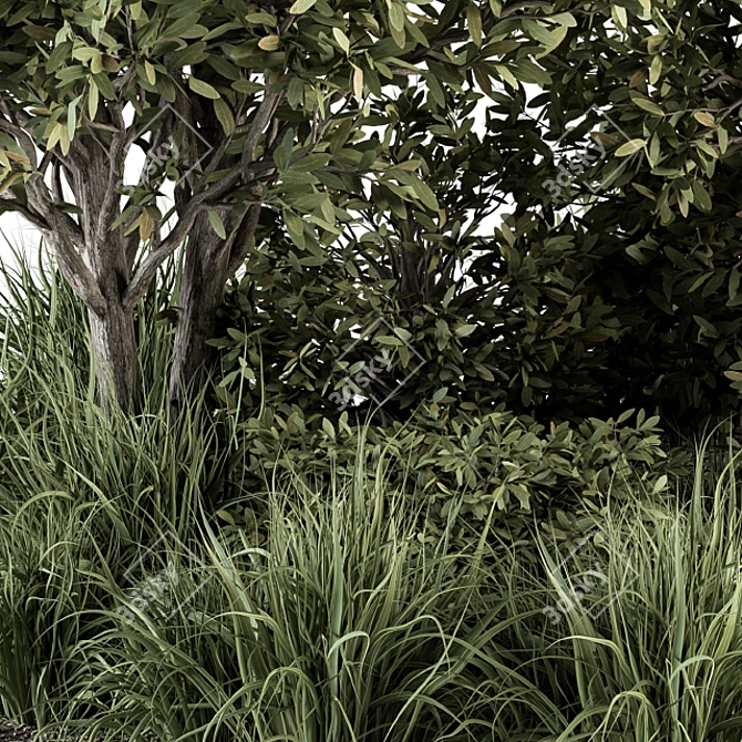 Outdoor Greenery Set 3D model image 2