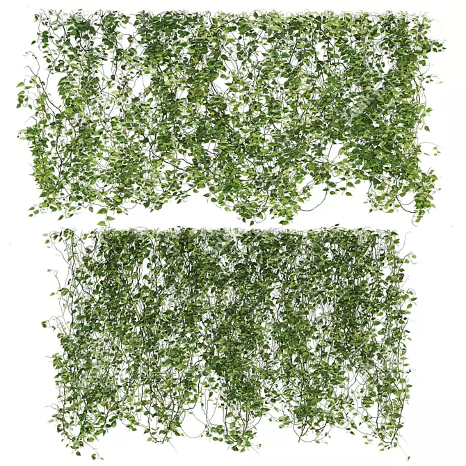 Premium Ivy Plant Collection 3D model image 1