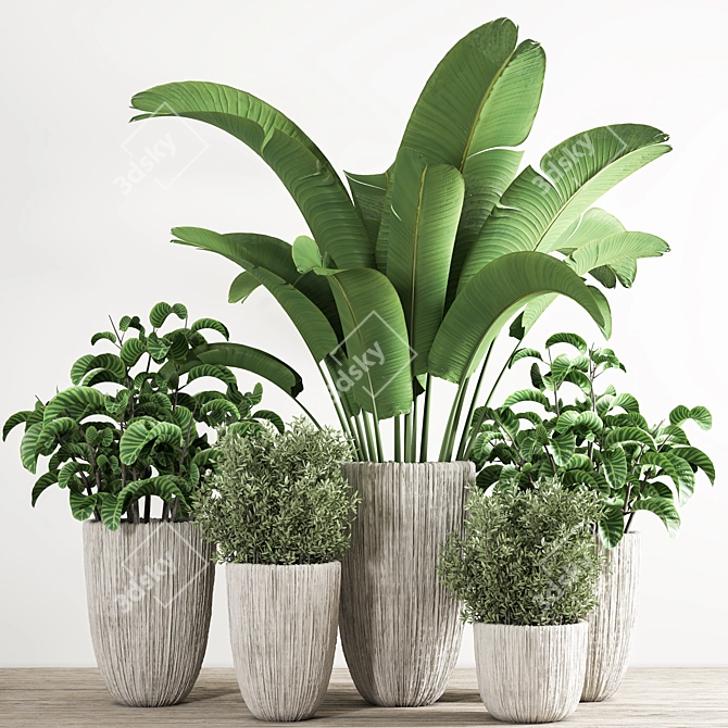 Indoor Plant Collection: Aesthetic and Versatile 3D model image 5