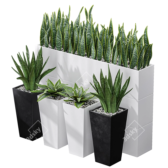 Sanseveria Snake Plant: Office Partition Air Purifier 3D model image 1