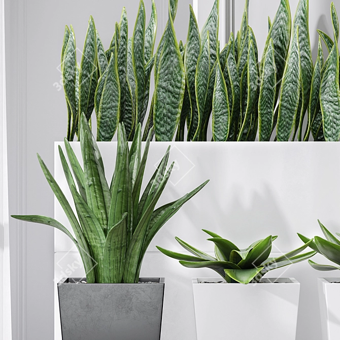 Sanseveria Snake Plant: Office Partition Air Purifier 3D model image 4