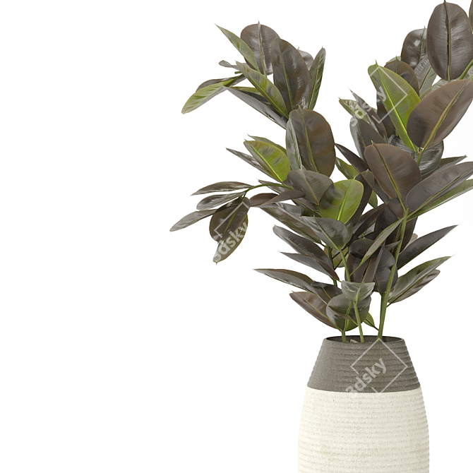 Ficus and Banana Indoor Plant Set 3D model image 3