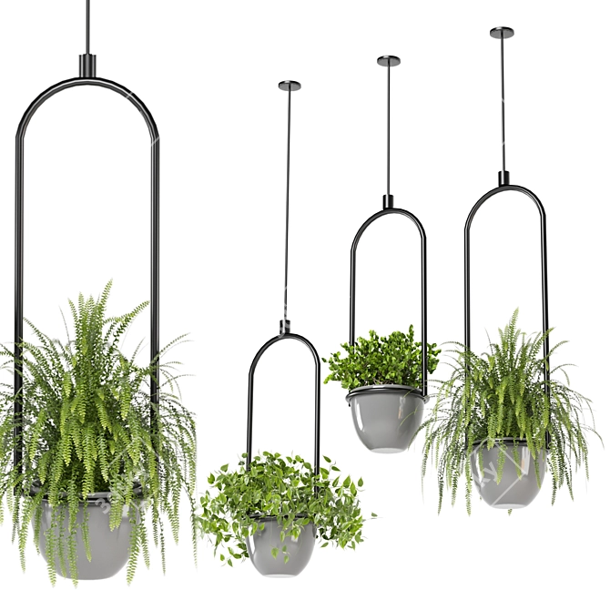 Hanging Plants Set for Indoor Décor 3D model image 1