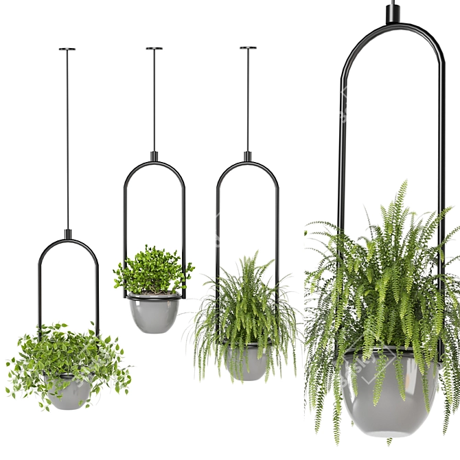 Hanging Plants Set for Indoor Décor 3D model image 2