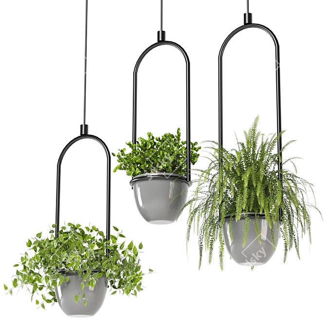 Hanging Plants Set for Indoor Décor 3D model image 3