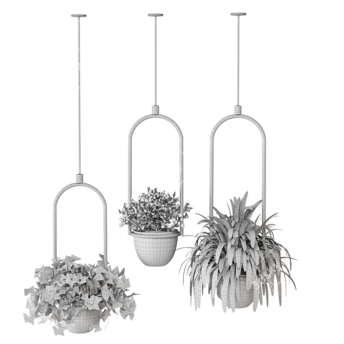 Hanging Plants Set for Indoor Décor 3D model image 5