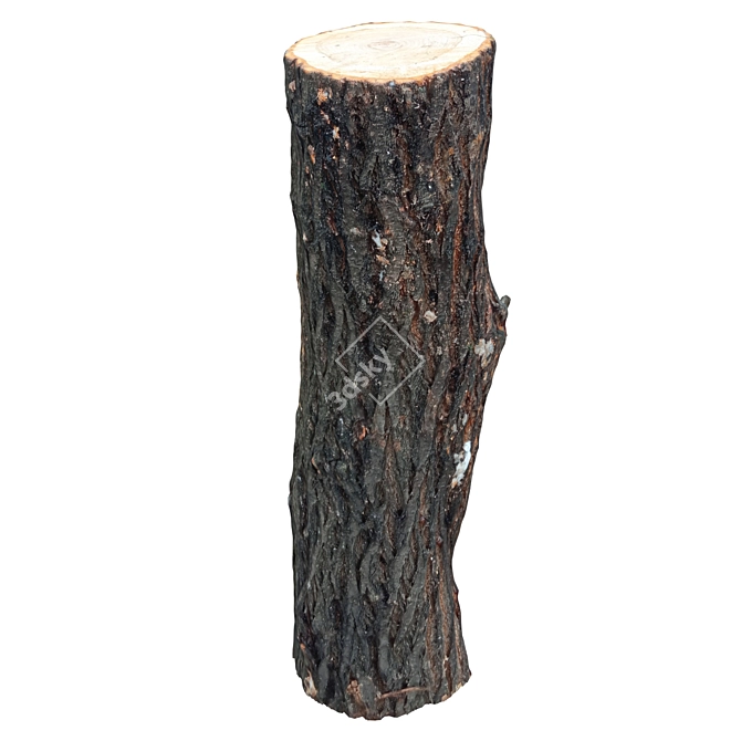 Natural Wood Trunk 3D model image 4