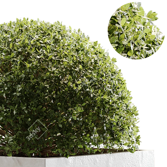 2015 Outdoor Plant Set: V-Ray & Corona 3D model image 7