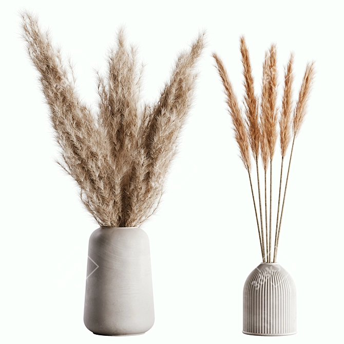 Elegant Pampas Set for Rendering 3D model image 1