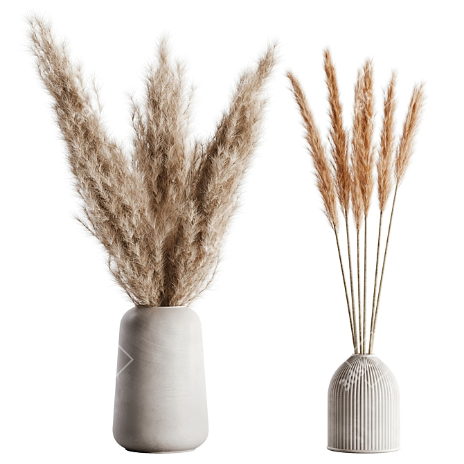 Elegant Pampas Set for Rendering 3D model image 5