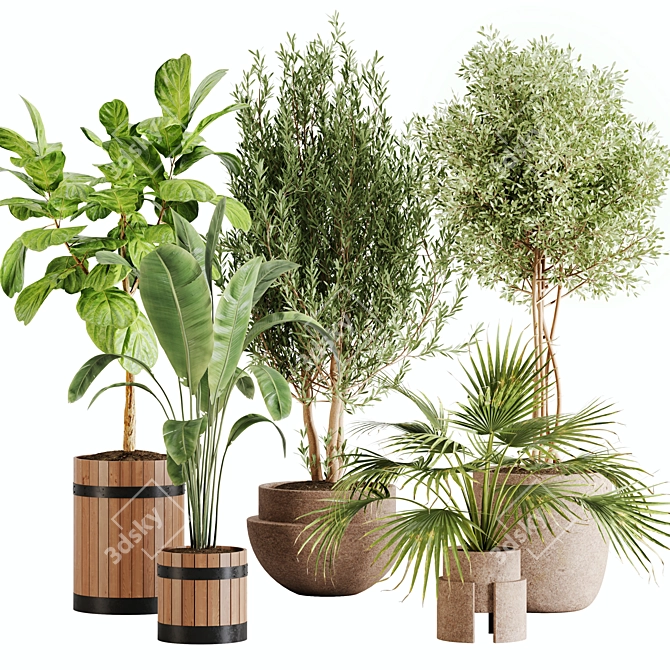 Lush Greenery Indoor Plant Set 3D model image 1