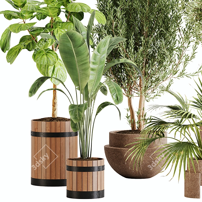 Lush Greenery Indoor Plant Set 3D model image 2