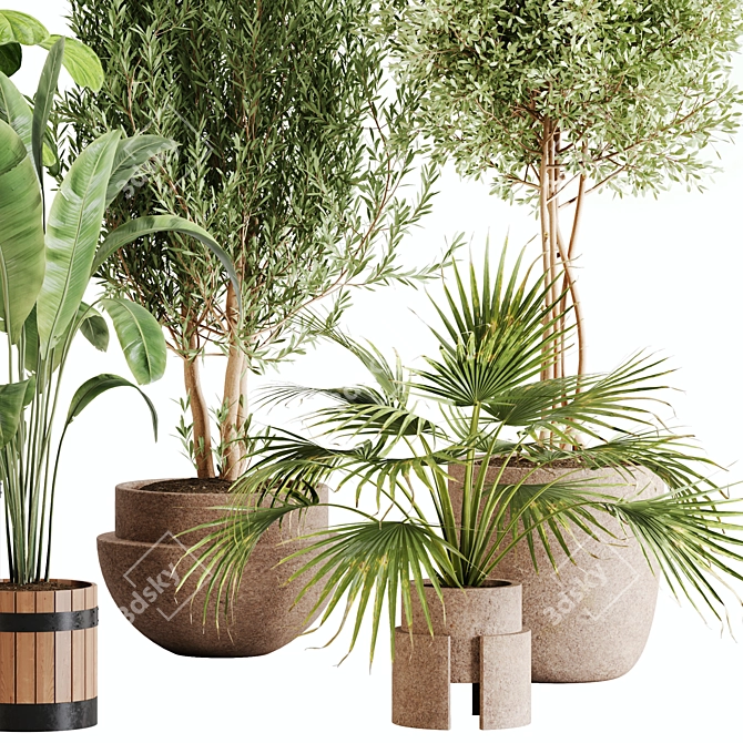 Lush Greenery Indoor Plant Set 3D model image 3