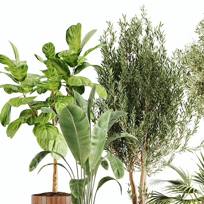 Lush Greenery Indoor Plant Set 3D model image 4