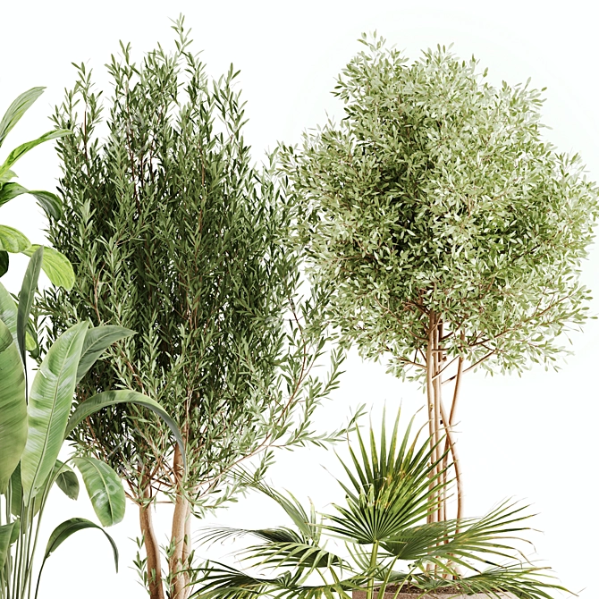 Lush Greenery Indoor Plant Set 3D model image 5