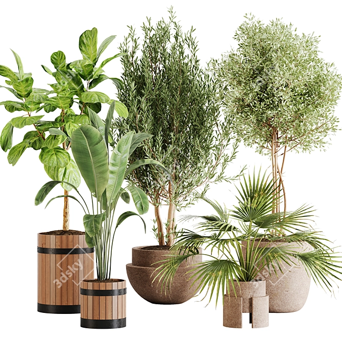 Lush Greenery Indoor Plant Set 3D model image 7