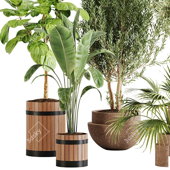 Lush Greenery Indoor Plant Set 3D model image 8