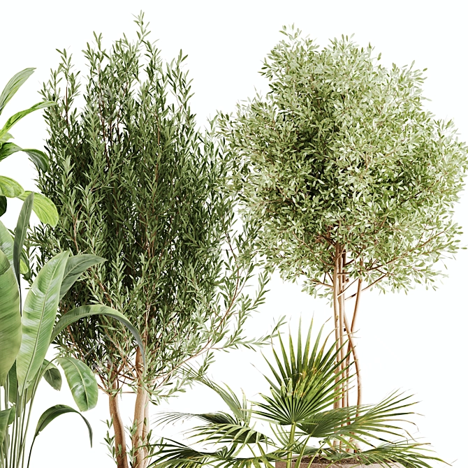 Lush Greenery Indoor Plant Set 3D model image 11