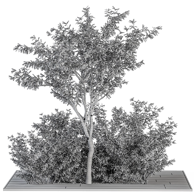 Elegant Olive Garden Set 3D model image 5