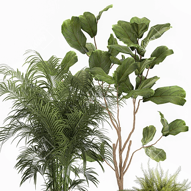 Decorative Plant Collection: Exotic Indoor Plants 3D model image 3