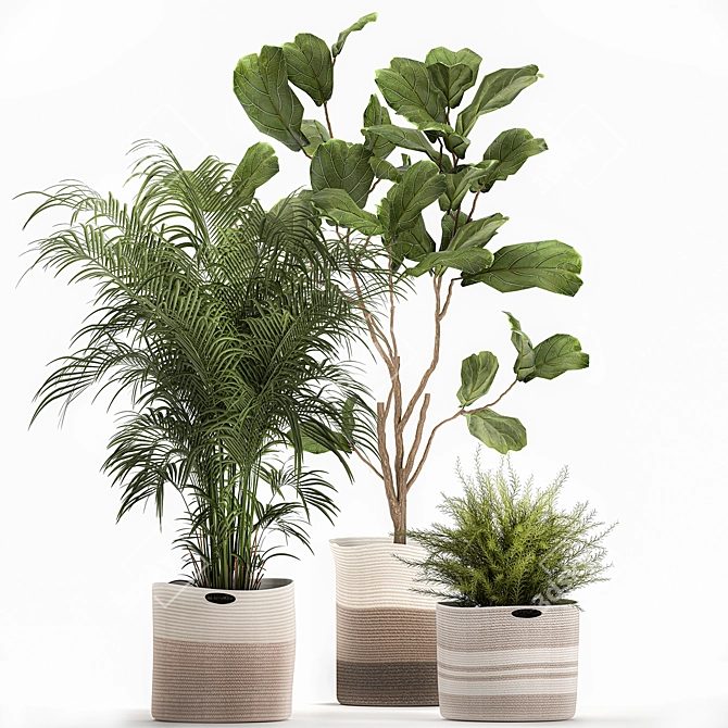 Decorative Plant Collection: Exotic Indoor Plants 3D model image 6