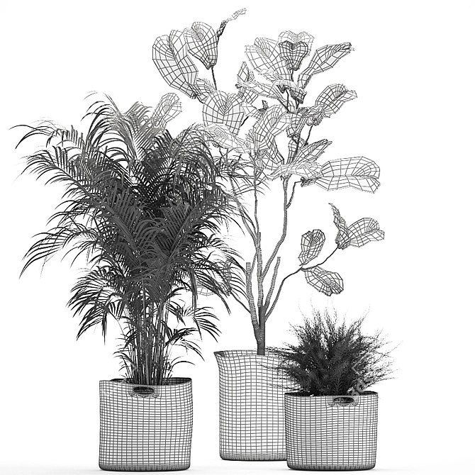 Decorative Plant Collection: Exotic Indoor Plants 3D model image 7