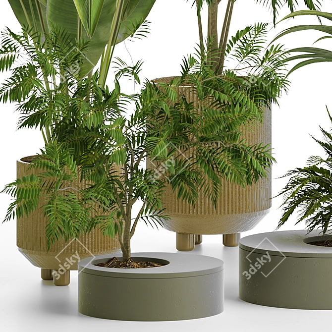 Modern Indoor Plant Vol 30: Stylish & Versatile 3D model image 2