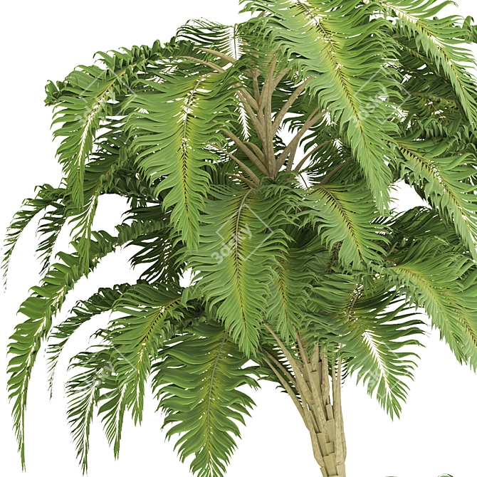 Tropical Garden Set 2015 3D model image 3