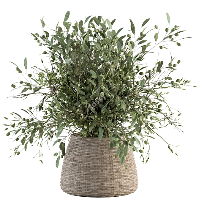 Olive Oasis: Indoor Plant Set 3D model image 1