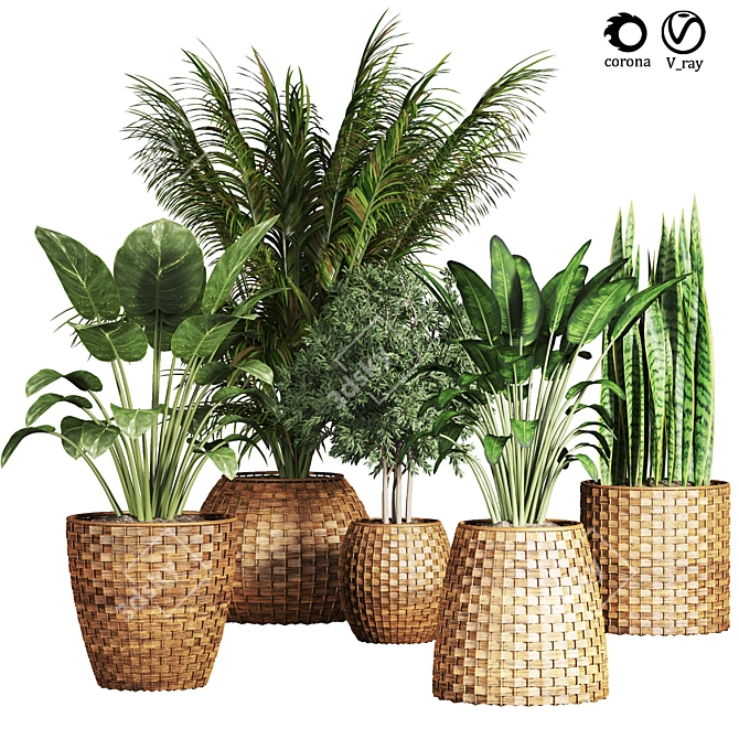 20 Indoor Plant Collection 3D model image 1