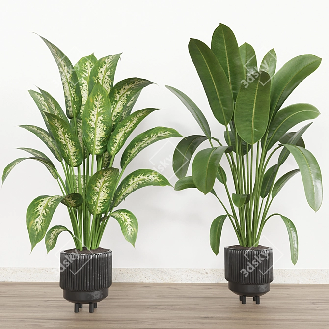 Tropical Plant Set: Ornamental Exotics for Indoor & Outdoor Use 3D model image 2