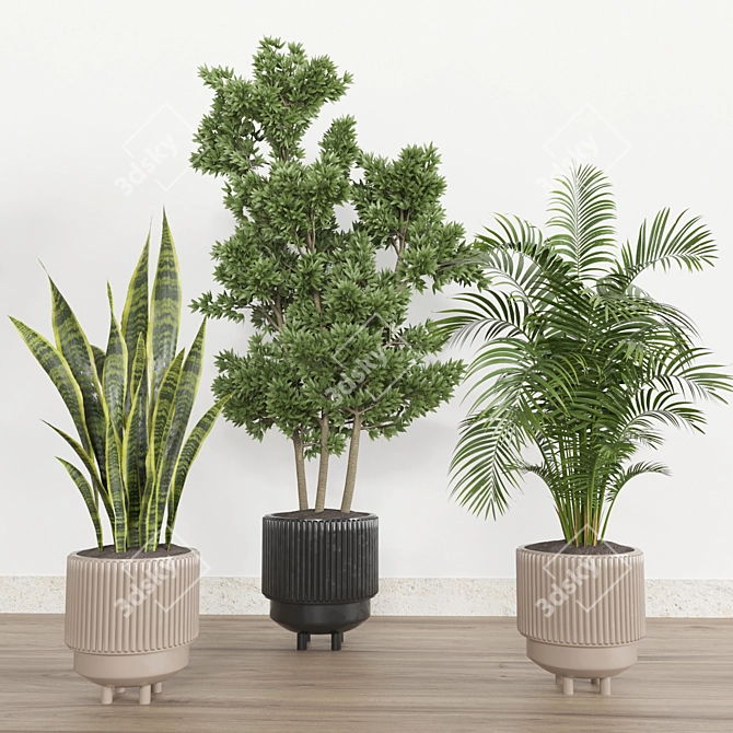 Tropical Plant Set: Ornamental Exotics for Indoor & Outdoor Use 3D model image 3