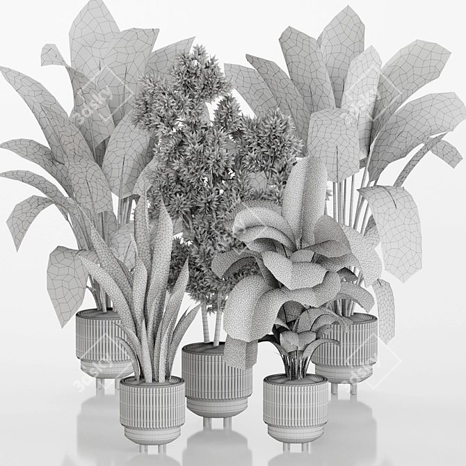 Tropical Plant Set: Ornamental Exotics for Indoor & Outdoor Use 3D model image 4