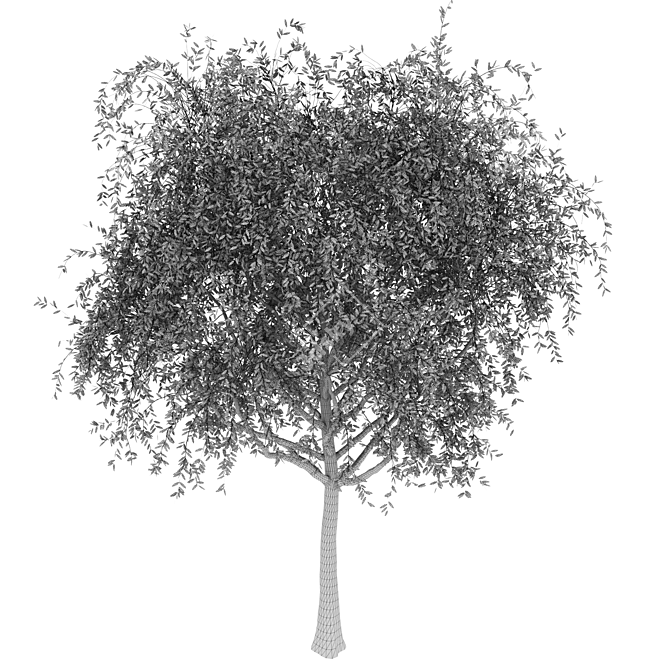 Evergreen Landscape Tree 3D model image 3