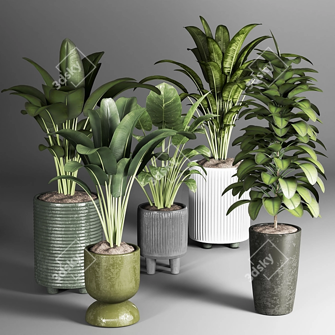 Indoor Plant Collection: 22 Varieties 3D model image 2