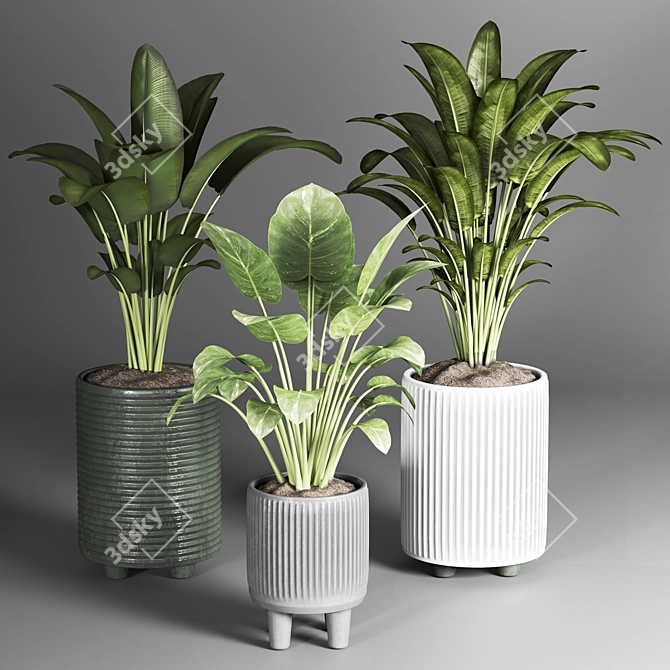 Indoor Plant Collection: 22 Varieties 3D model image 3