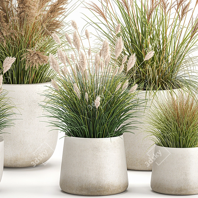 Exotic Plant Collection in Concrete Pots 3D model image 3