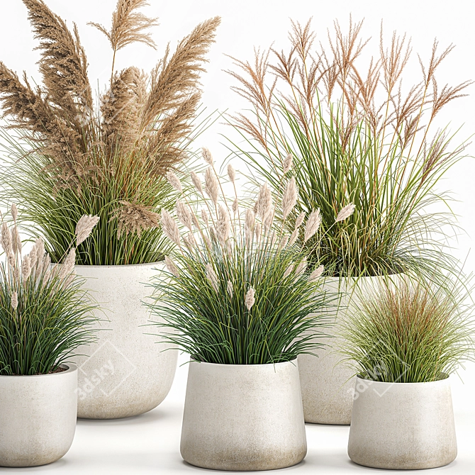 Exotic Plant Collection in Concrete Pots 3D model image 5