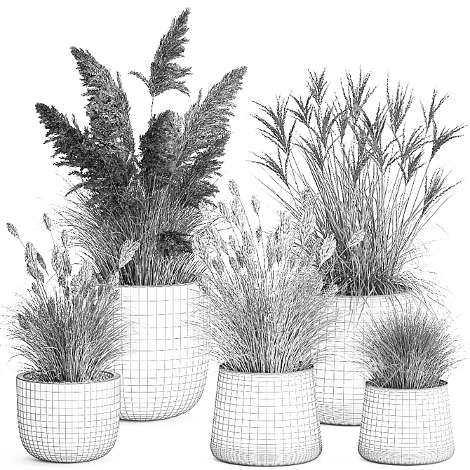 Exotic Plant Collection in Concrete Pots 3D model image 7