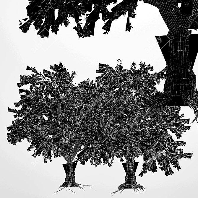 Variety of Tree-Katsura - 4 Different Sizes & Materials 3D model image 3