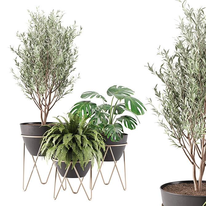 Greenery Bloom: Indoor Plants Set 3D model image 1