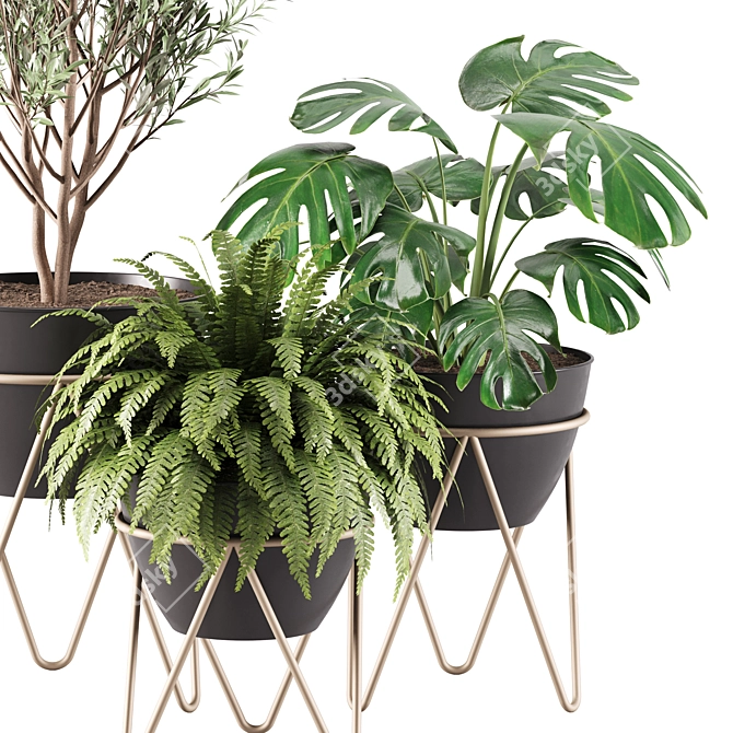 Greenery Bloom: Indoor Plants Set 3D model image 3