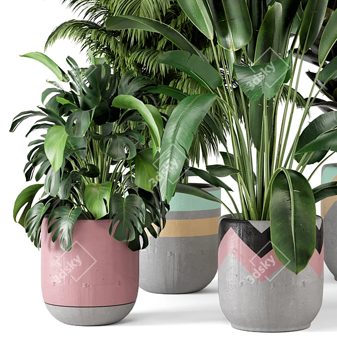 Rustic Concrete Pot Indoor Plants Set 3D model image 3