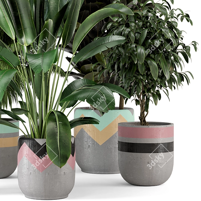 Rustic Concrete Pot Indoor Plants Set 3D model image 5