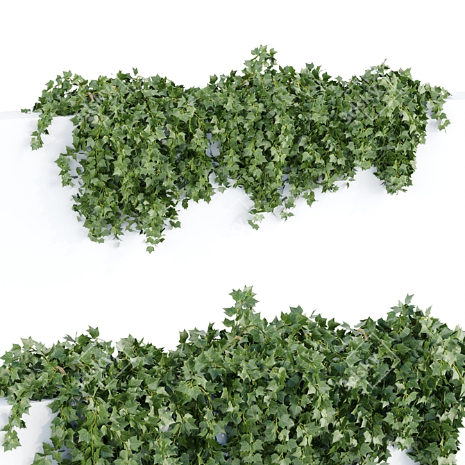 3D Hanging Wall Plants Vol. 64 3D model image 3