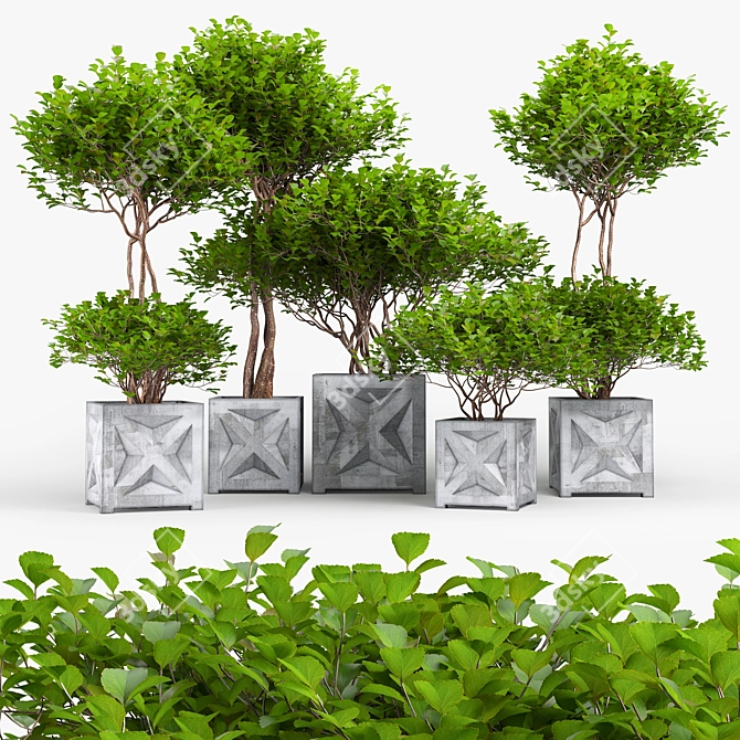 Exotic Bush: High-quality 3D Model 3D model image 1