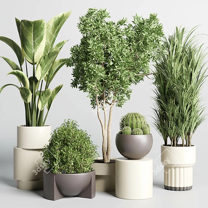 Minimalistic Indoor Plant Collection 3D model image 1