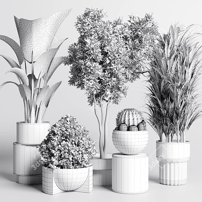 Minimalistic Indoor Plant Collection 3D model image 5