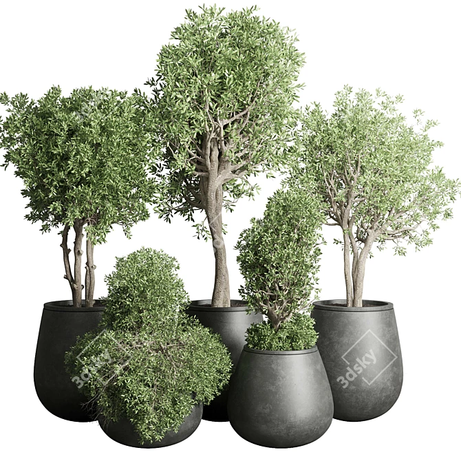 Concrete Tree Pots: Collection-Ready for Indoor/Outdoor 3D model image 1
